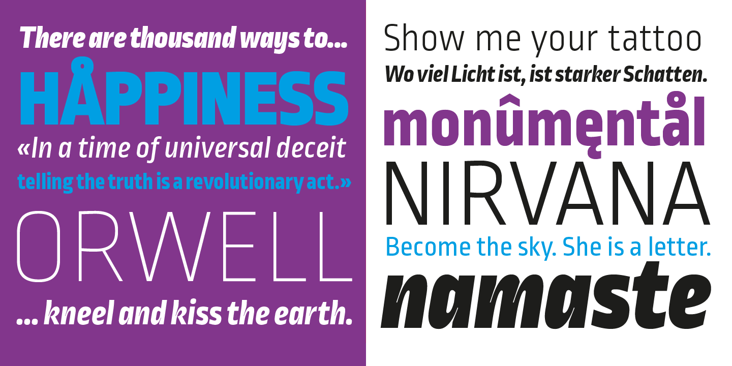 Ropa Sans Pro Extra Light Italic Font preview