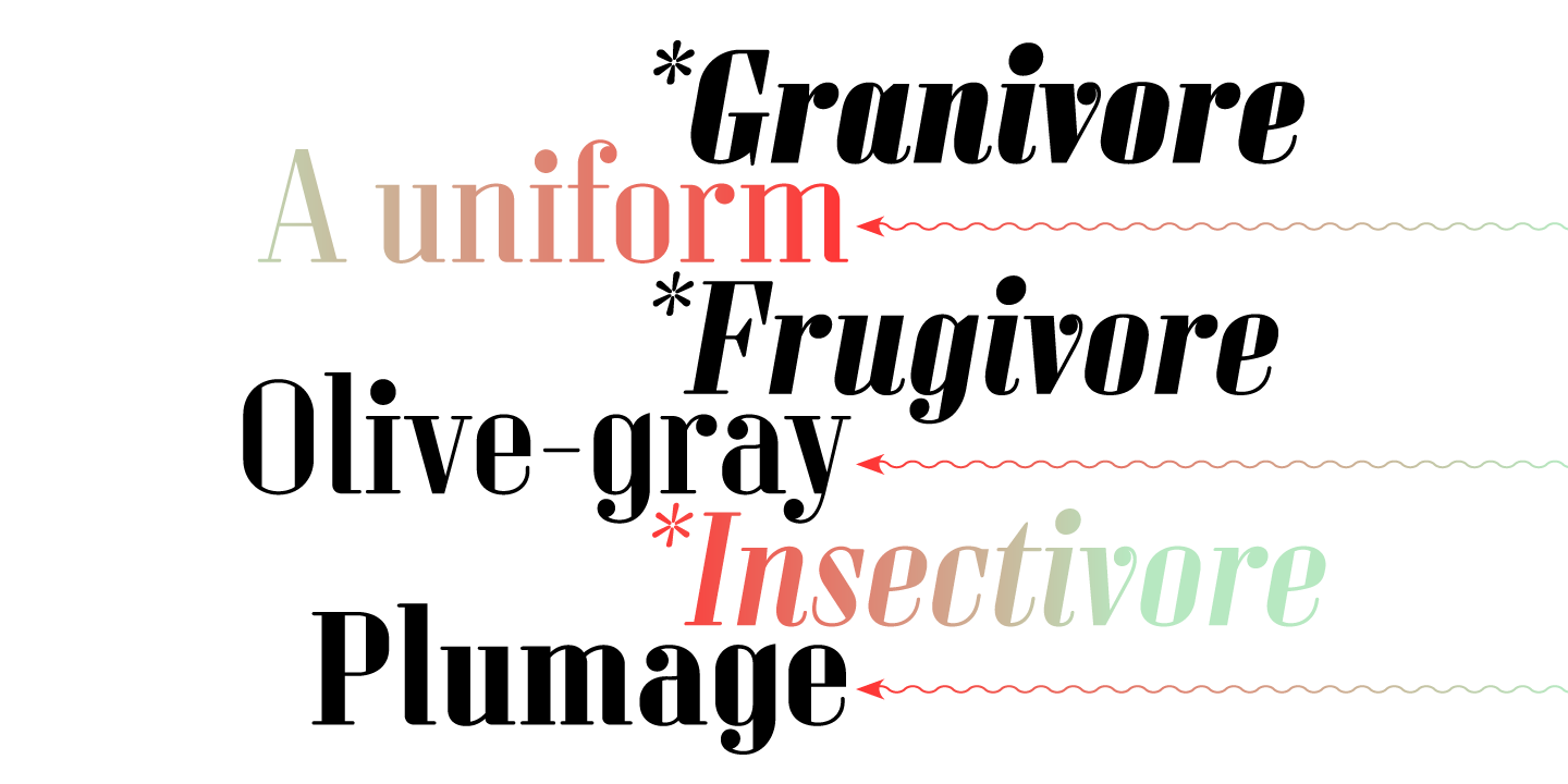 Sperling FY Bold Italic Font preview