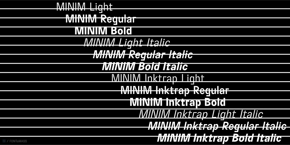 BC Minim Light Inktrap Italic Font preview