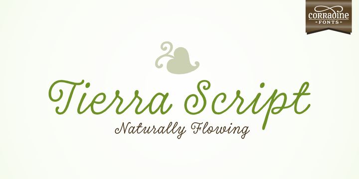 Tierra Script Font preview