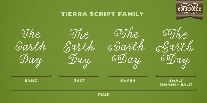 Tierra Script Regular Font preview