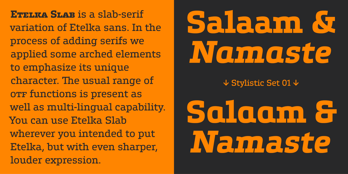 Etelka Slab Thin Font preview