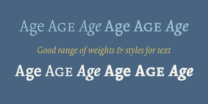 Borges Blanca Italic Font preview