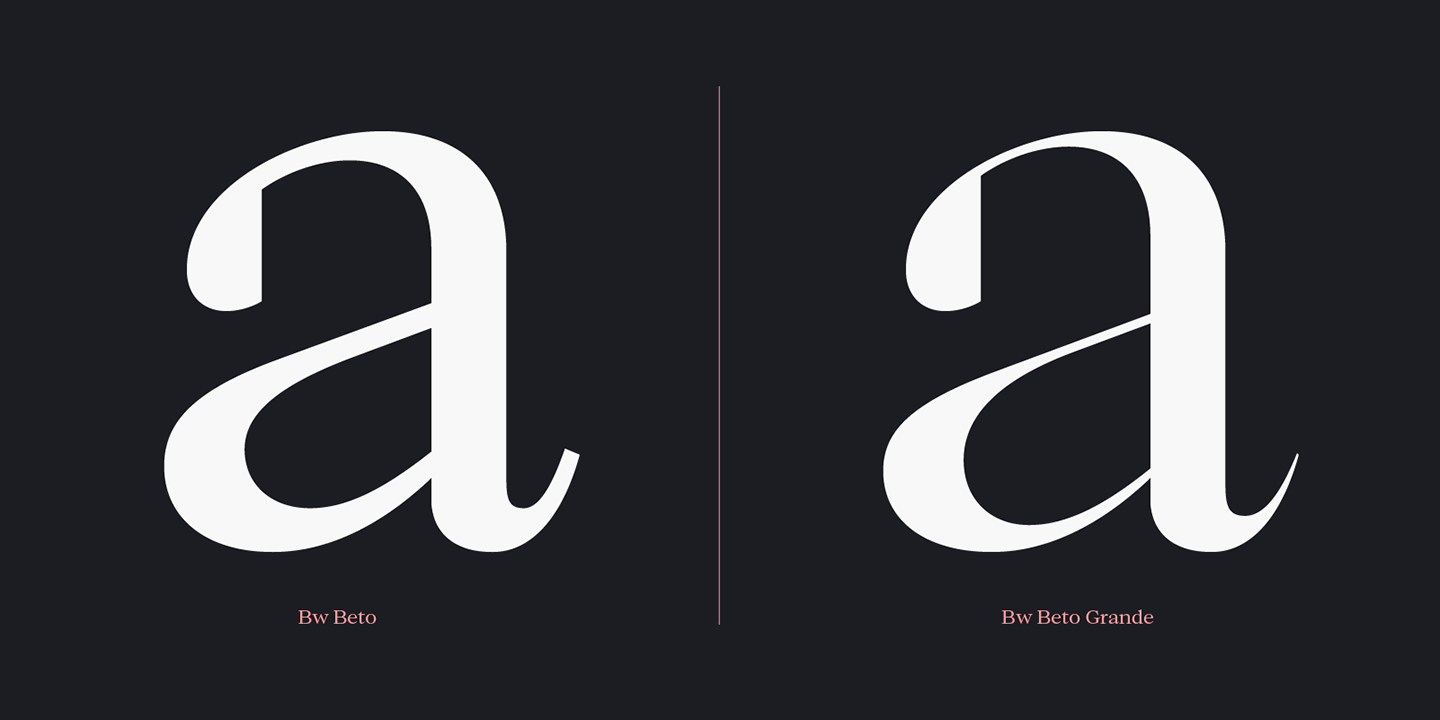 Bw Beto Bold Italic Font preview