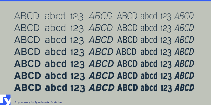 Expressway CdLt Italic Font preview