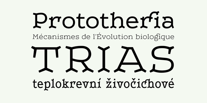 Leto Two Bold Font preview