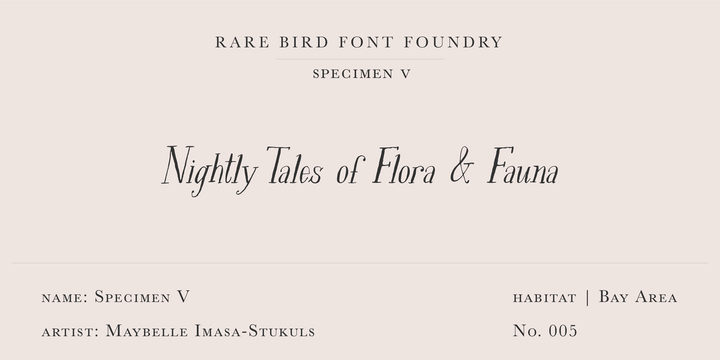 Rare Bird Specimen Font preview