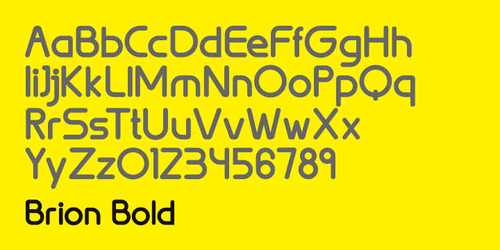 Brion Bold Font preview