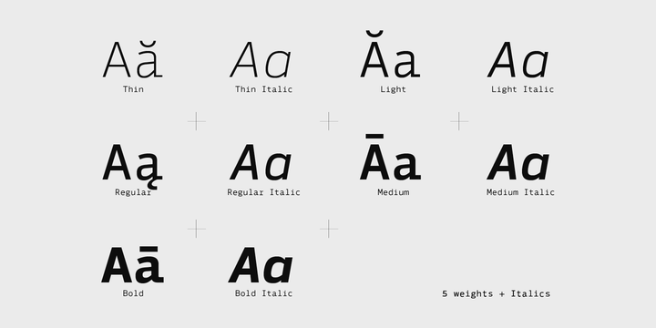 Syke Mono Italic Font preview