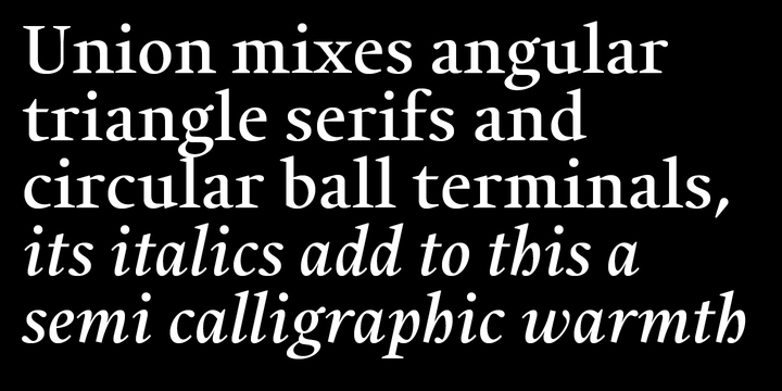 Union Bold Italic Font preview
