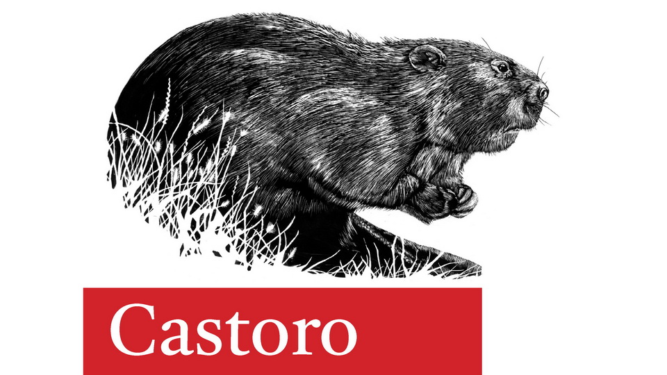 Castoro Regular Font preview