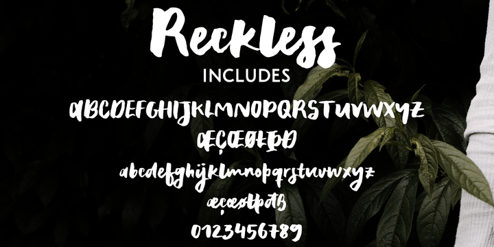 Reckless Font preview