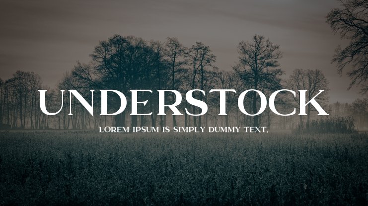 Understock Font preview