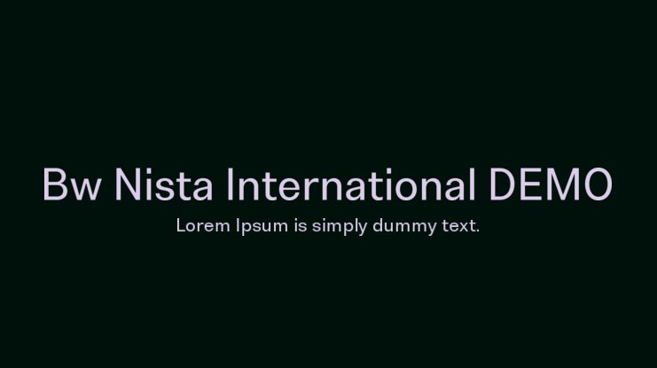 Bw Nista International Font preview
