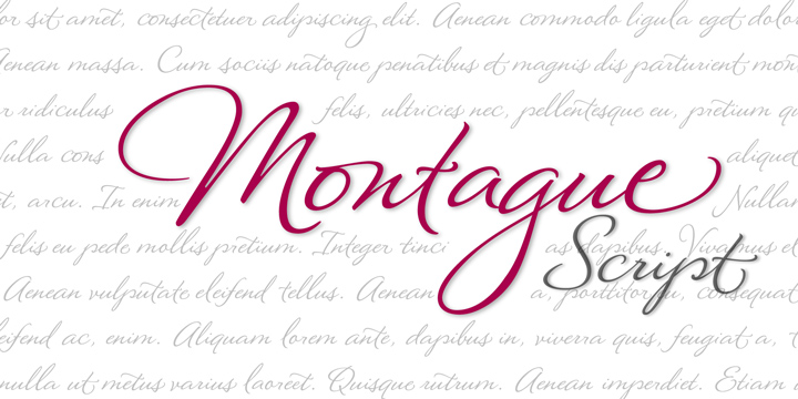 Montague Script Font preview