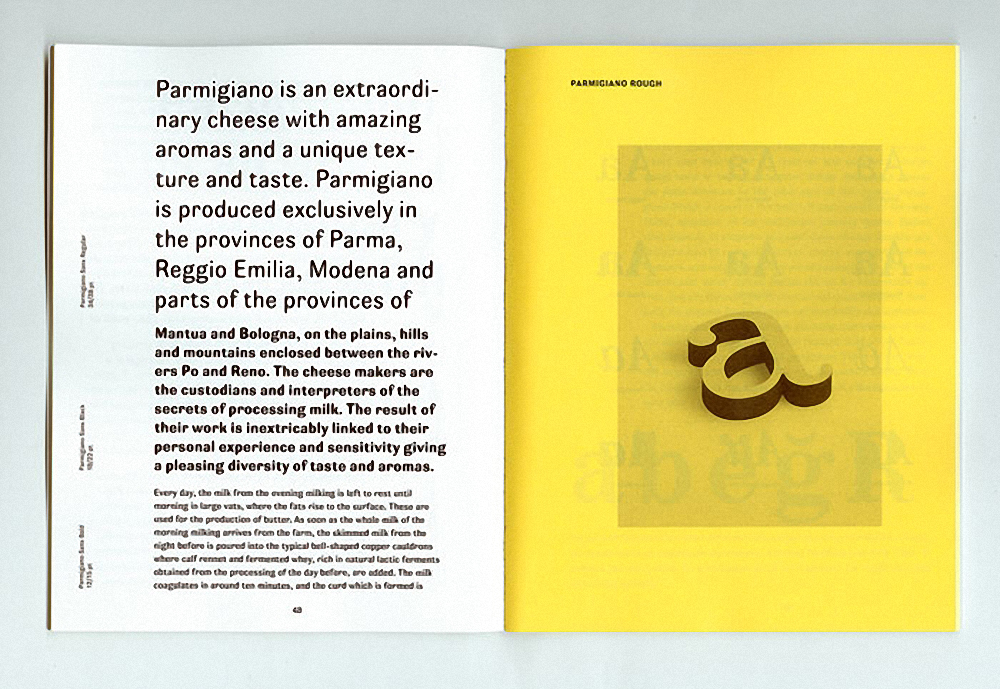 Parmigiano Text Pro Italic Font preview