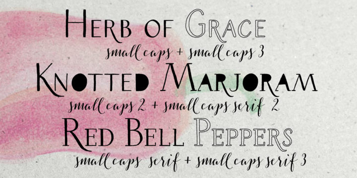 Salt & Spices Pro SC Serif Font preview