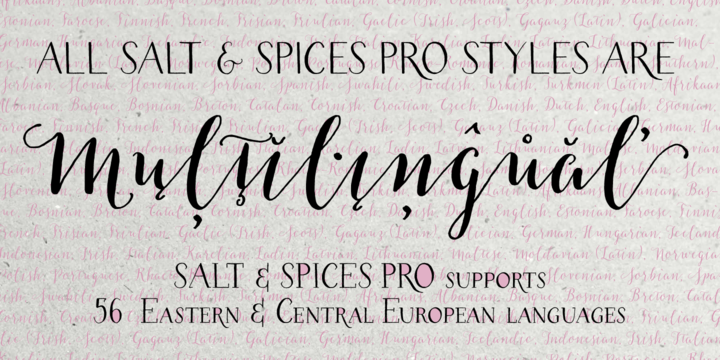 Salt & Spices Pro Shadow Font preview