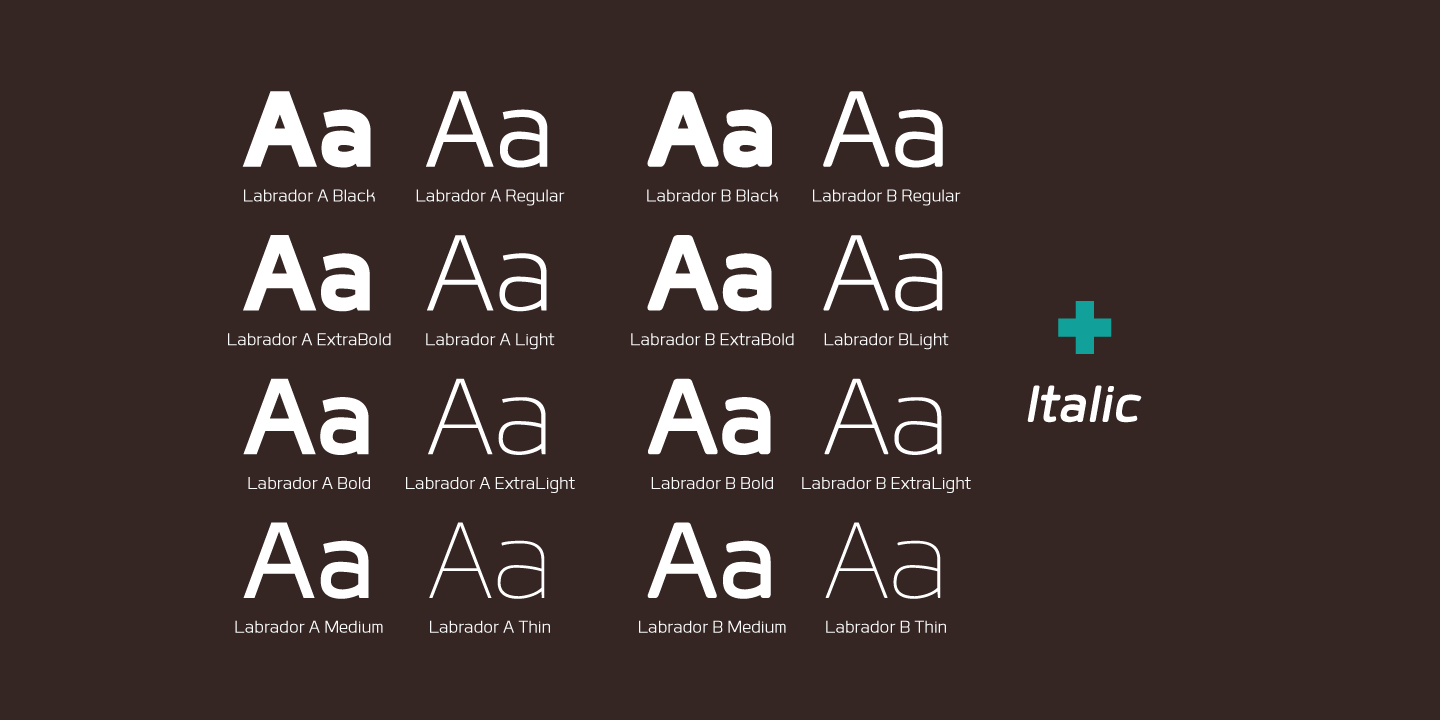 Lab Caligraphy Bold Labrador B Bold Font | xFonts.pro
