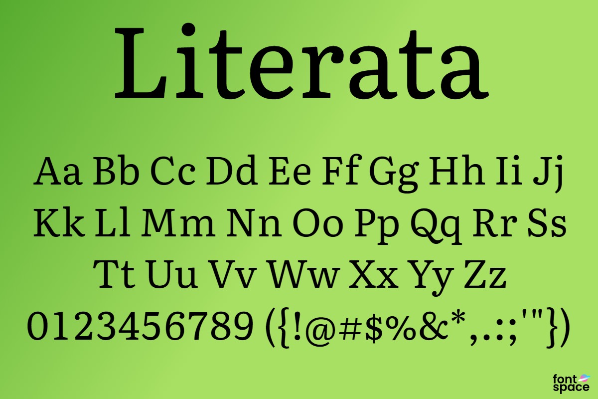Literata Medium Italic Font preview