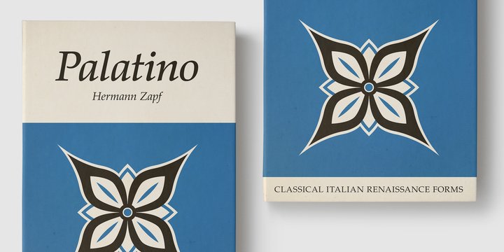 Palatino LT Italic Font preview