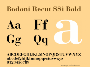 Bodoni SSi Bold Italic Font preview