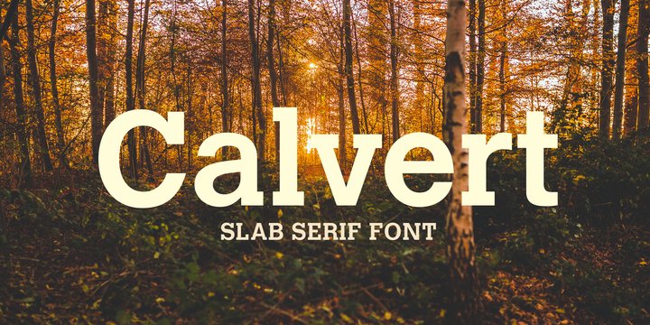 Calvert Regular Font preview