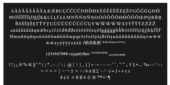 Dante Medium Italic Font preview