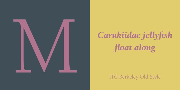 ITC Berkeley Old Style Book Italic Font preview