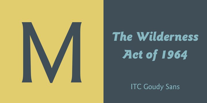 ITC Goudy Sans Bold Font preview