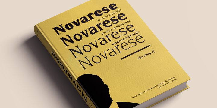ITC Novarese Book Italic Font preview