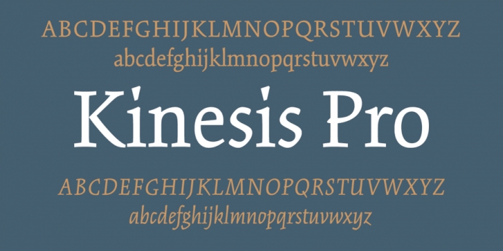 Kinesis Font preview