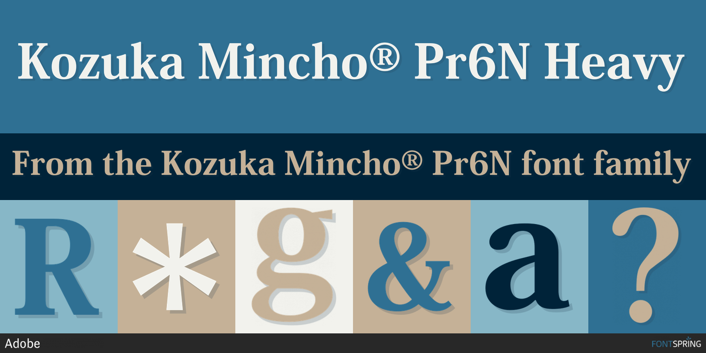 Kozuka Mincho Pr6N Heavy Font preview