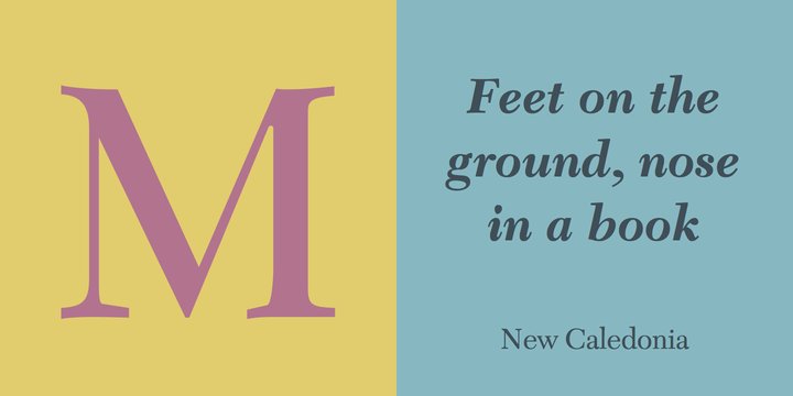 New Caledonia SemiBold Italic Font preview