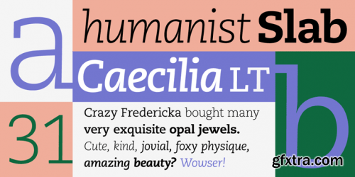 Caecilia Heavy Italic Font preview