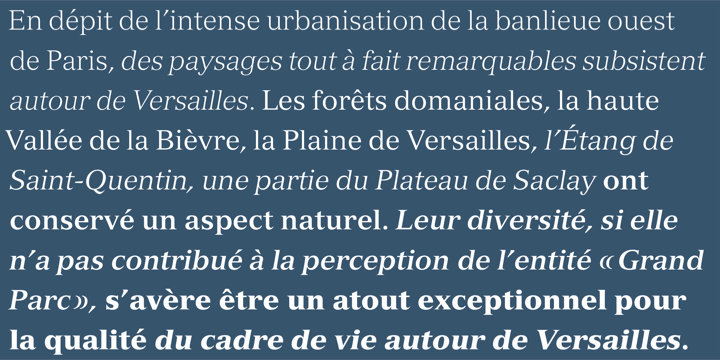 Versailles Bold Italic Font preview