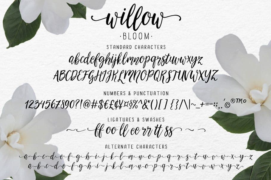 Willow Font preview