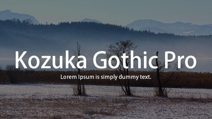 Kozuka Gothic Pro Font preview