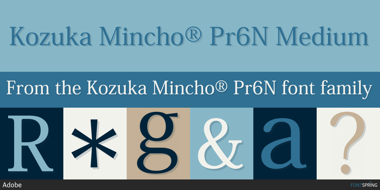 Kozuka Mincho Pro Font preview