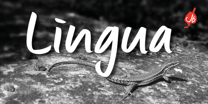 Lingua Font preview