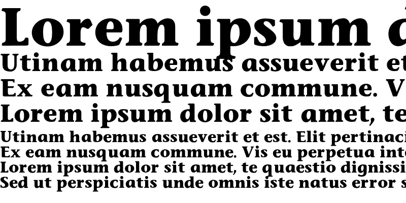 Stone Inf ITC OS Bold Italic Font preview