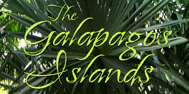 Island Moments Regular Font preview