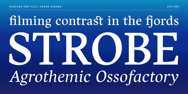 Harfang Pro Extra Bold Italic Font preview
