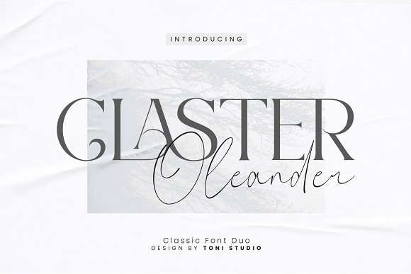 Claster Oleander Regular Font preview