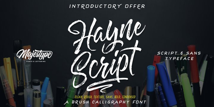 Hayne Script Regular Font preview