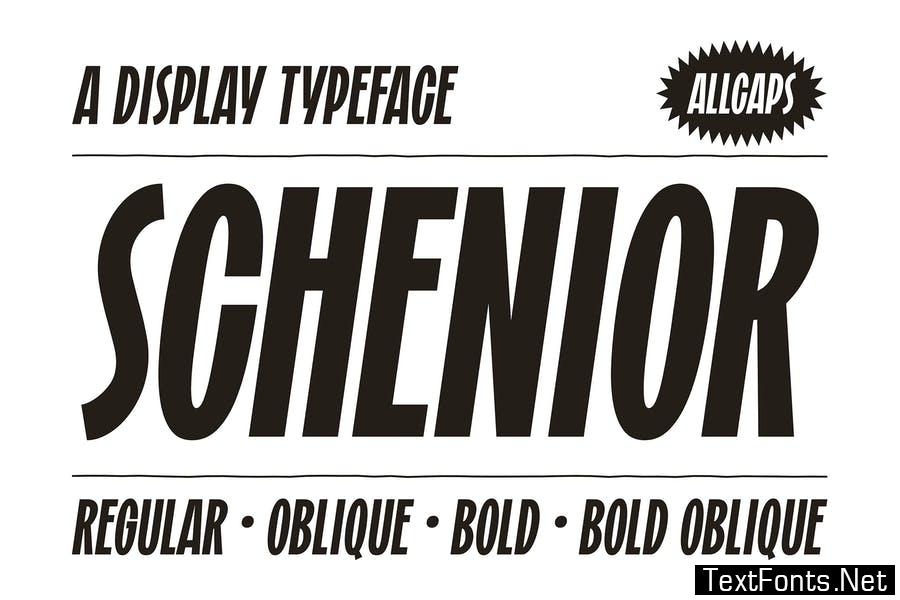 Schenior Bold Oblique Font preview