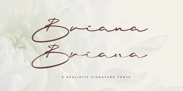 Briana Regular Font preview