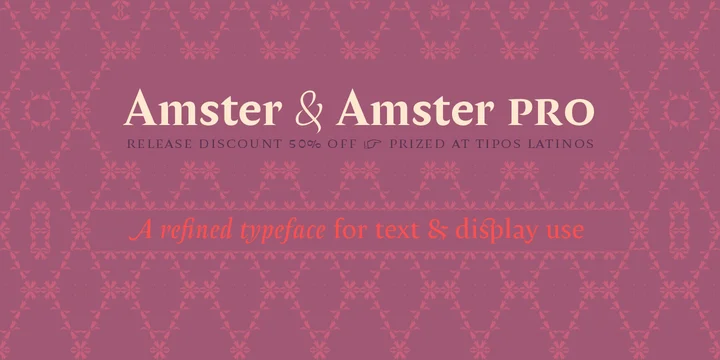 Amster Regular Font preview
