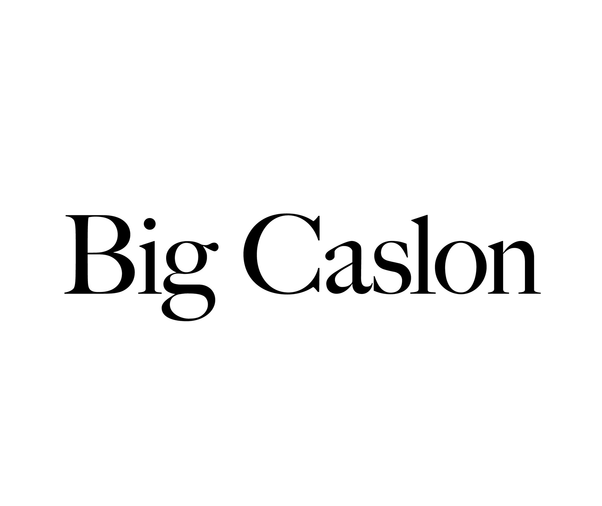 Big Caslon Font preview