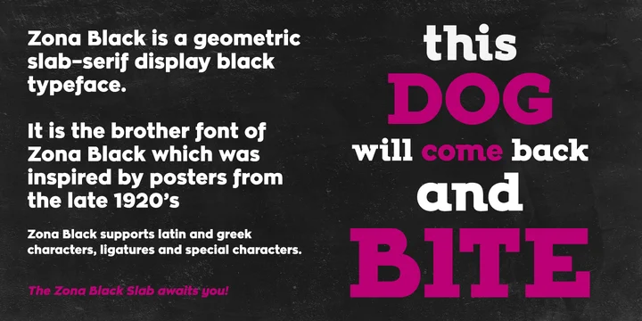 Zona Black Slab Black Italic Font preview